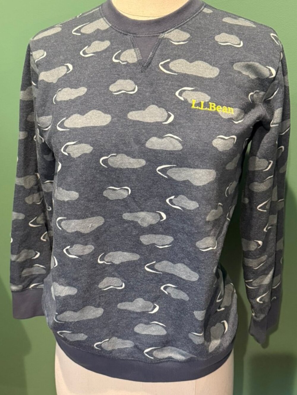 NWOT LL Bean "Cloud" Sweatshirt Kids 10-12 Years